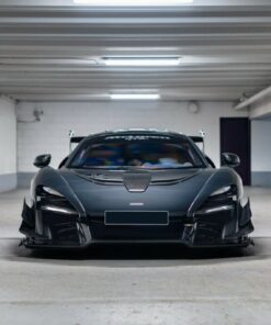 McLaren Senna GTR LM 25